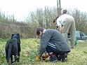 Planting Trees 014